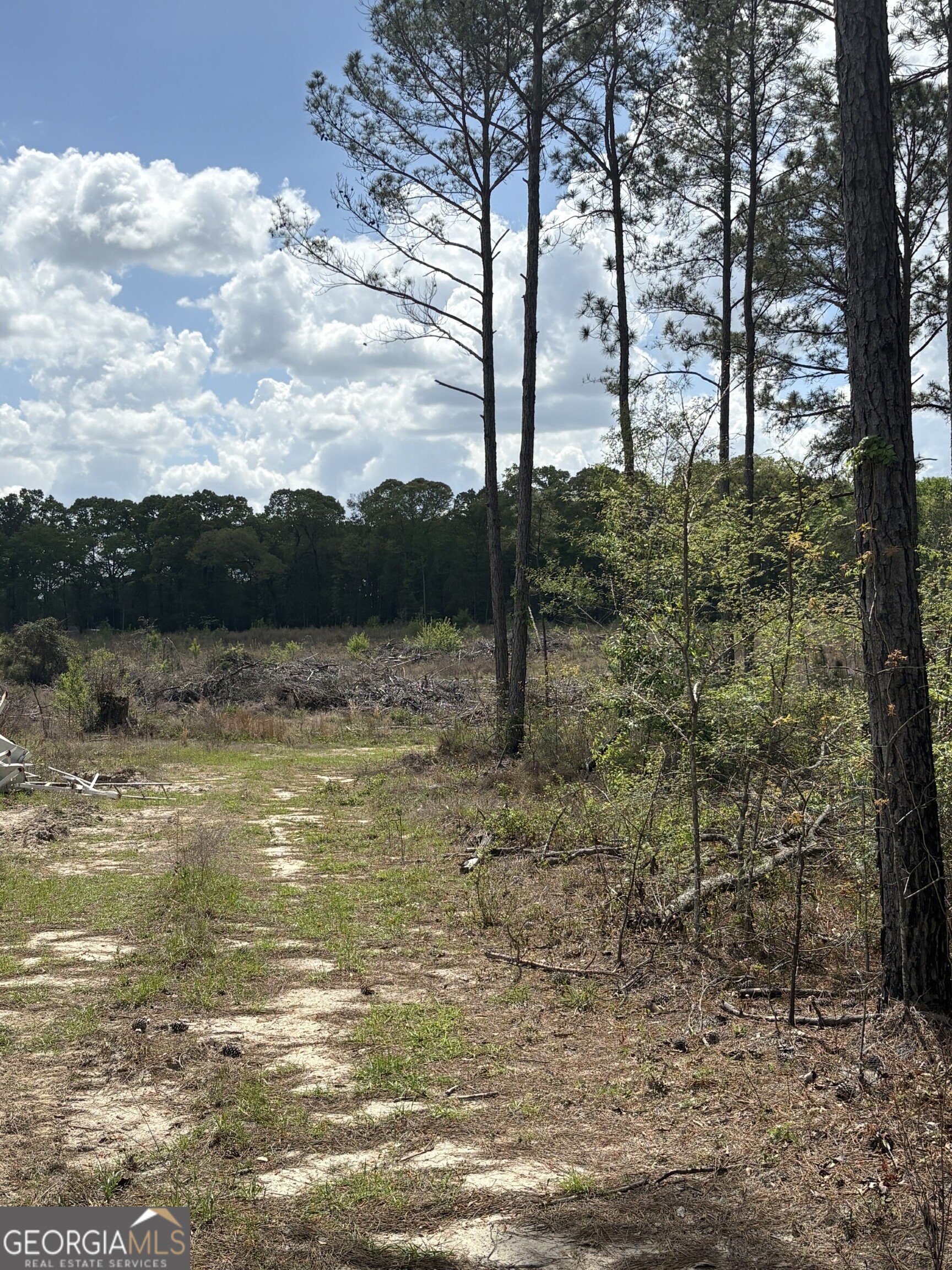 T2 Dc Hardie Road Gordon, GA 31031 - Photo 2 of 12 a view of mountain with lake view
