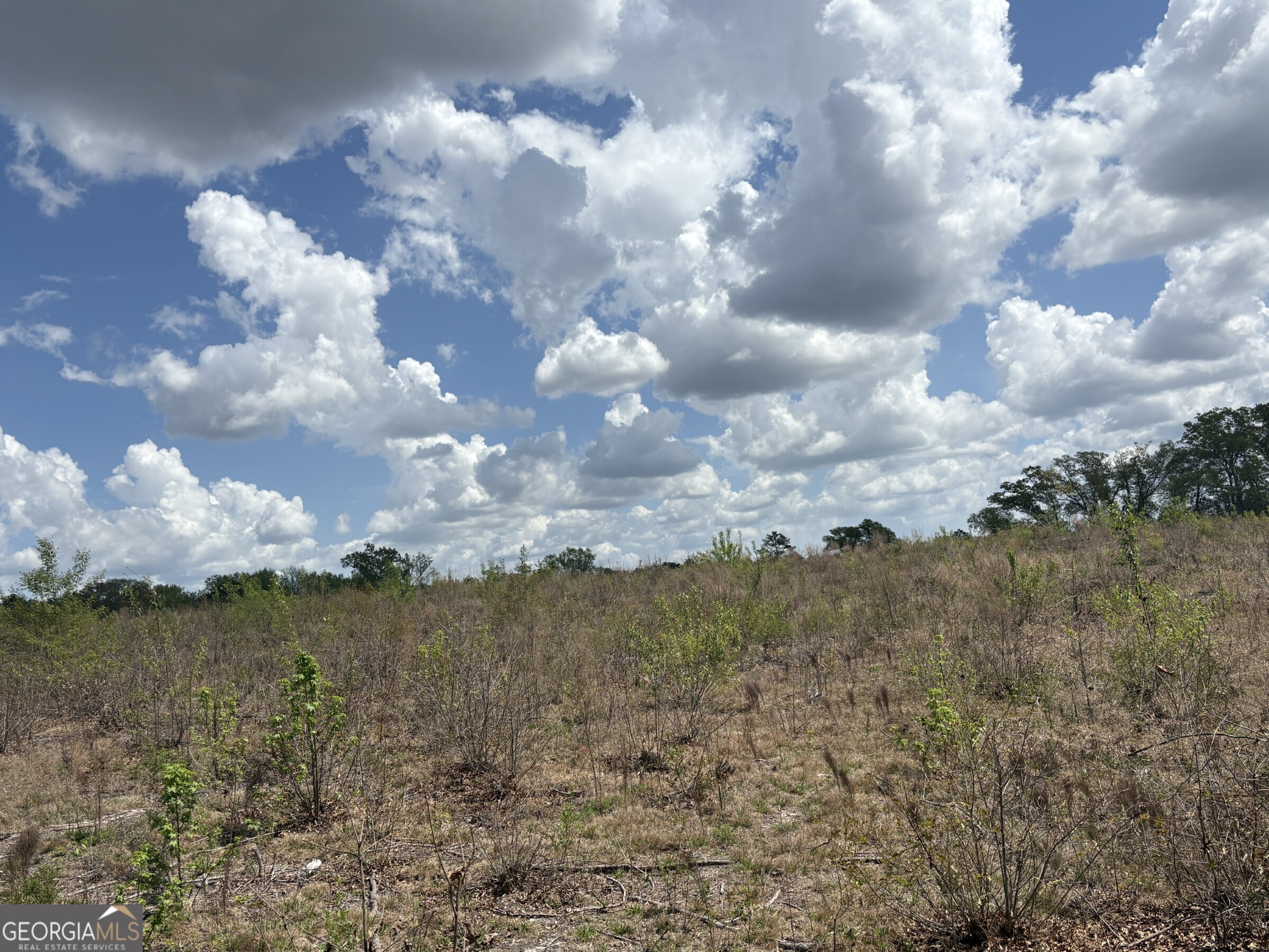 T2 Dc Hardie Road Gordon, GA 31031 - Photo 4 of 12 a view of a lake