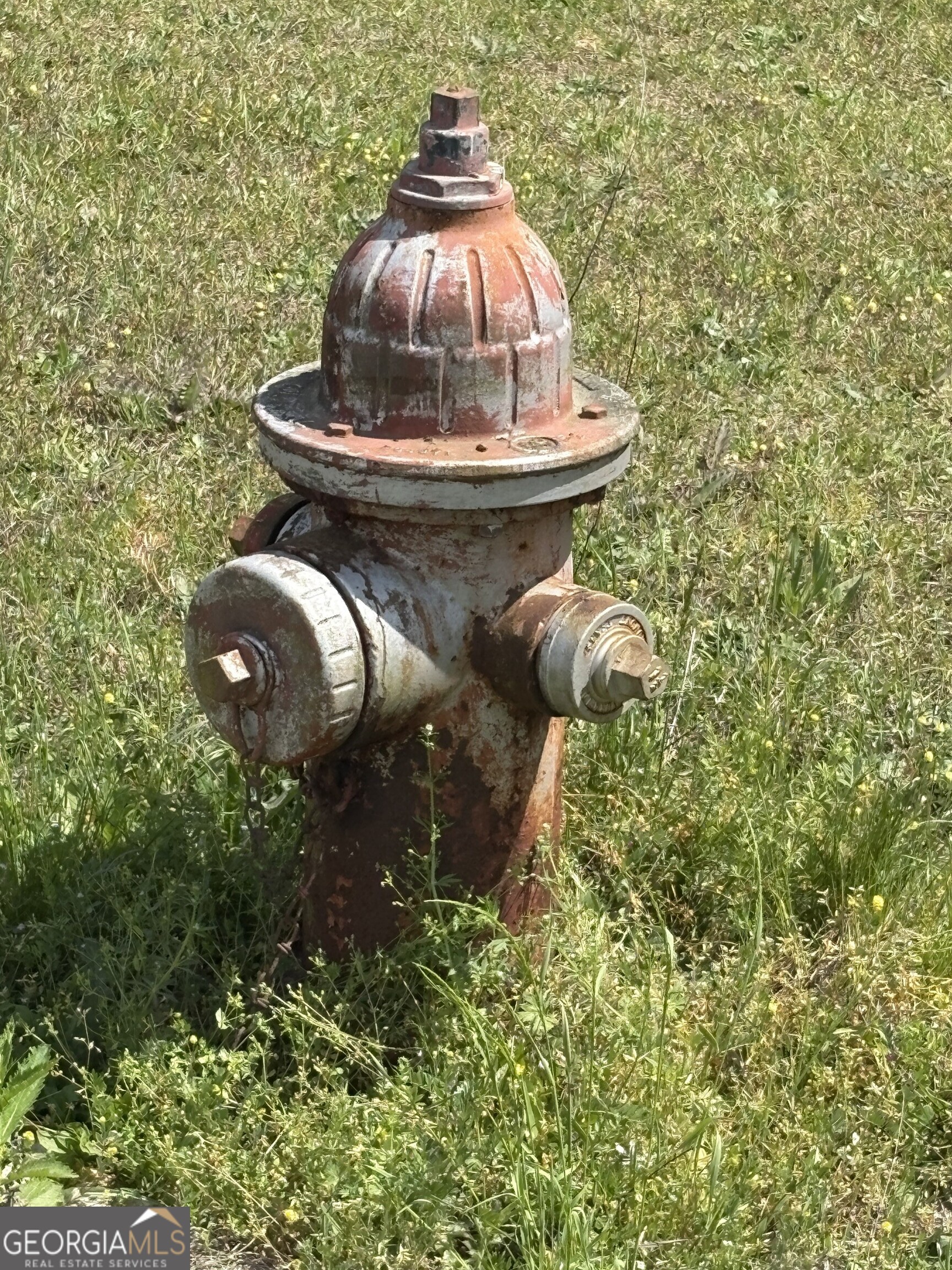 T2 Dc Hardie Road Gordon, GA 31031 - Photo 6 of 12 a close view of a statue
