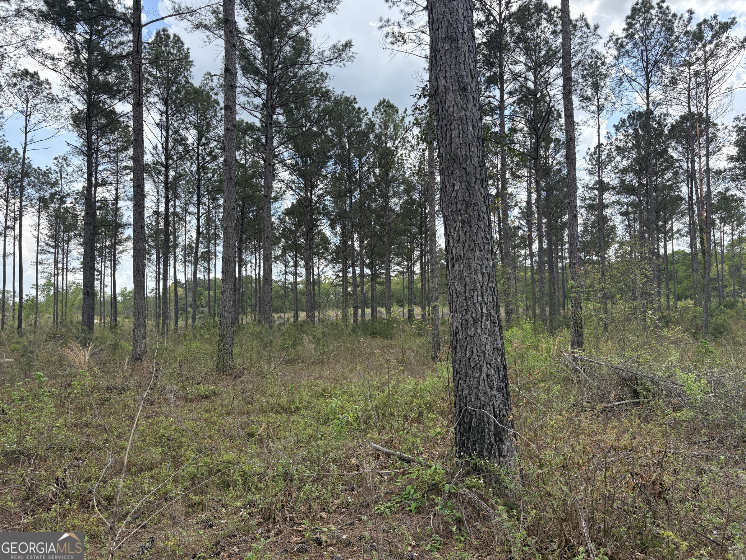 T2 Dc Hardie Road Gordon, GA 31031 - Photo 10 of 12 a view of lake with green space