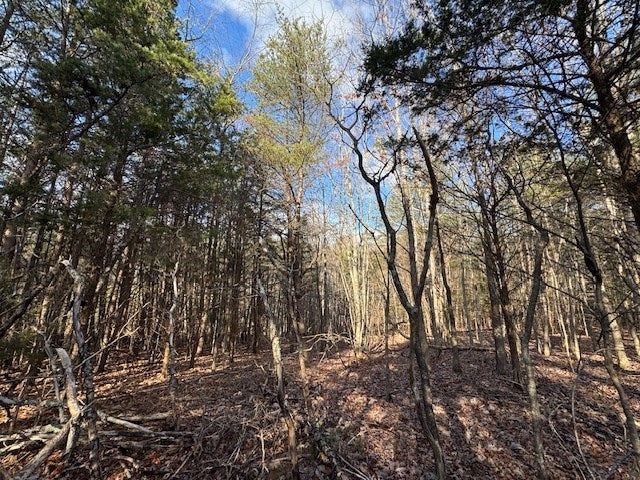 Tolers Ferry Road, Unit 1 Huddleston, VA 24104 - Photo 6 of 8 Gallery Image 6
