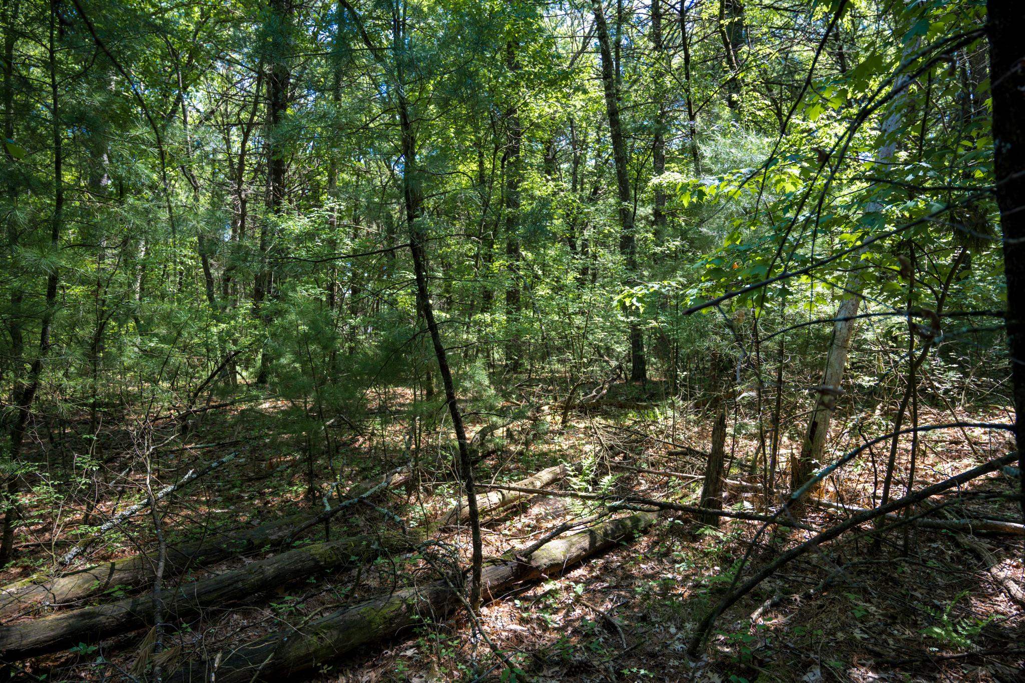 Lot 132 19th Arkdale, WI 54613 - Photo 10 of 27