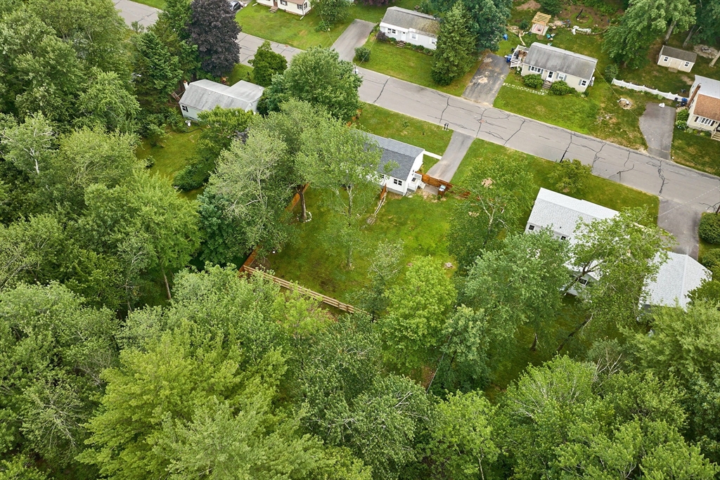48 Austin Circle Northampton, MA 01062 - Photo 29 of 33 a view of a flower in a garden