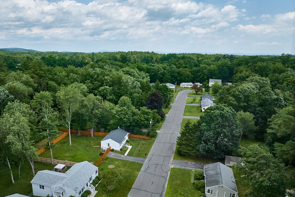 48 Austin Circle Northampton, MA 01062 - Photo 30 of 33 a view of a backyard with plants and a garden
