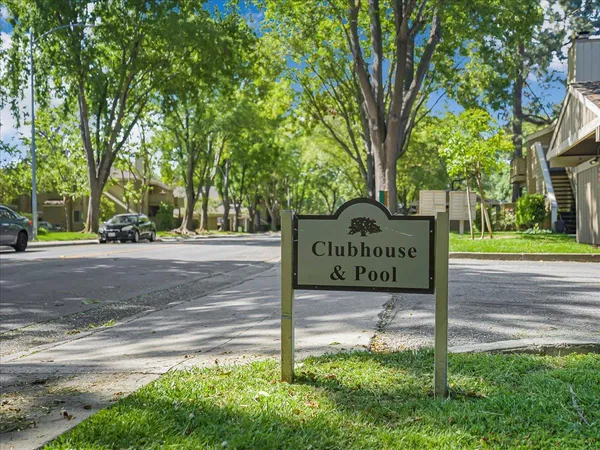 a view of a yard