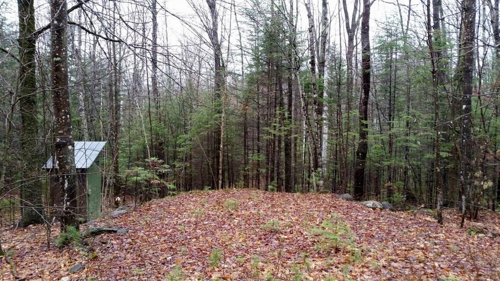 Tbd Staples Pond Road Temple, ME 04984 - Photo 3 of 6 Photo