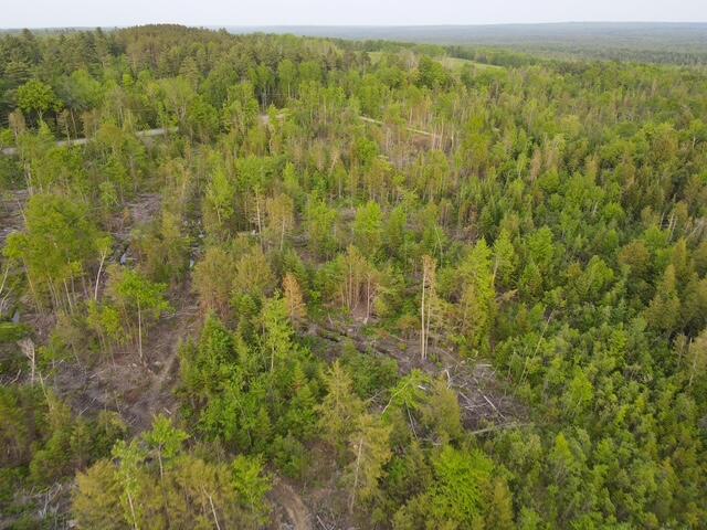 Lot 6 Sebec Village Road Sebec, ME 04481 - Photo 5 of 19 dji_fly_20250604_191226_480_175200585955