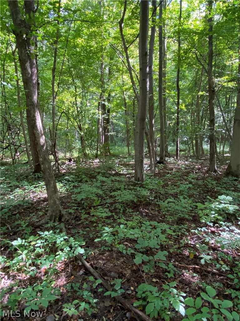 Forman Road Ashtabula, OH 44004 - Photo 23 of 28 Gallery Image 23