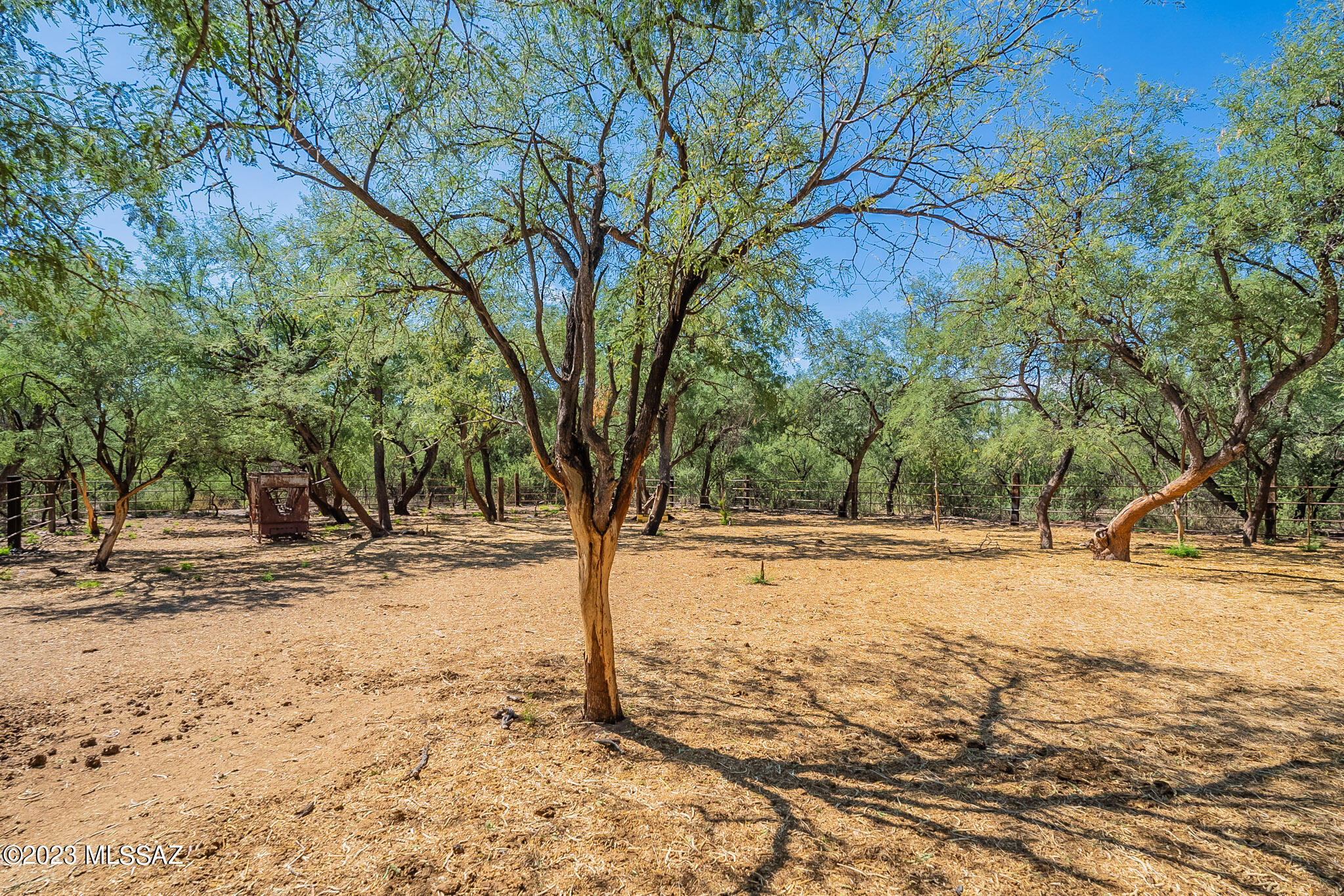 49 Paseo Mexico, Unit 10 Rio Rico, AZ 85648 - Photo 3 of 43