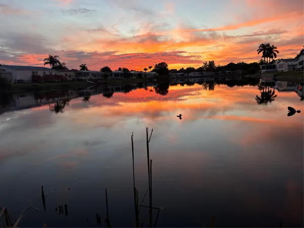 a view of a lake from a city