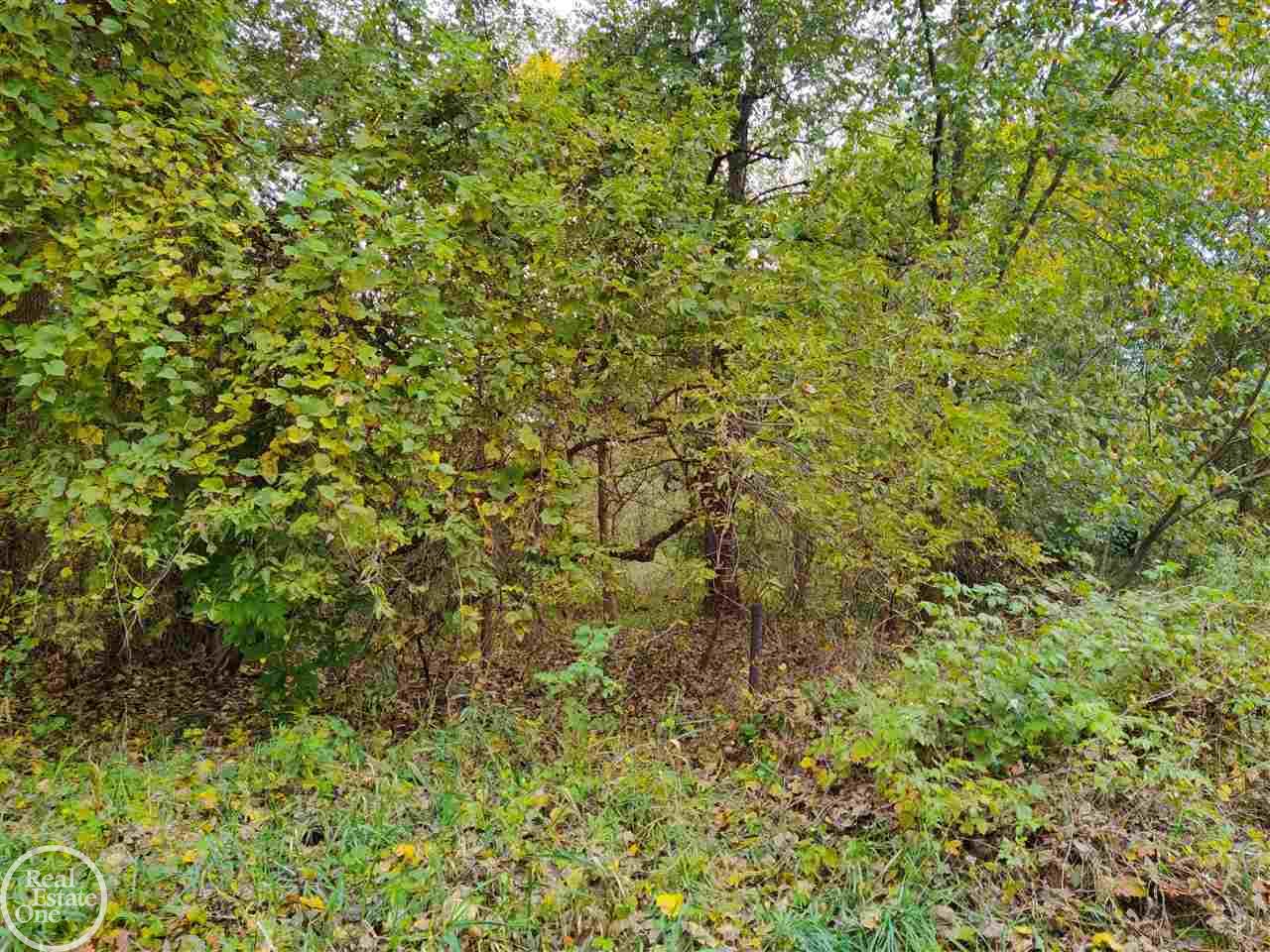 3785 Rives Eaton Road Rives Junction, MI 49277 - Photo 15 of 41