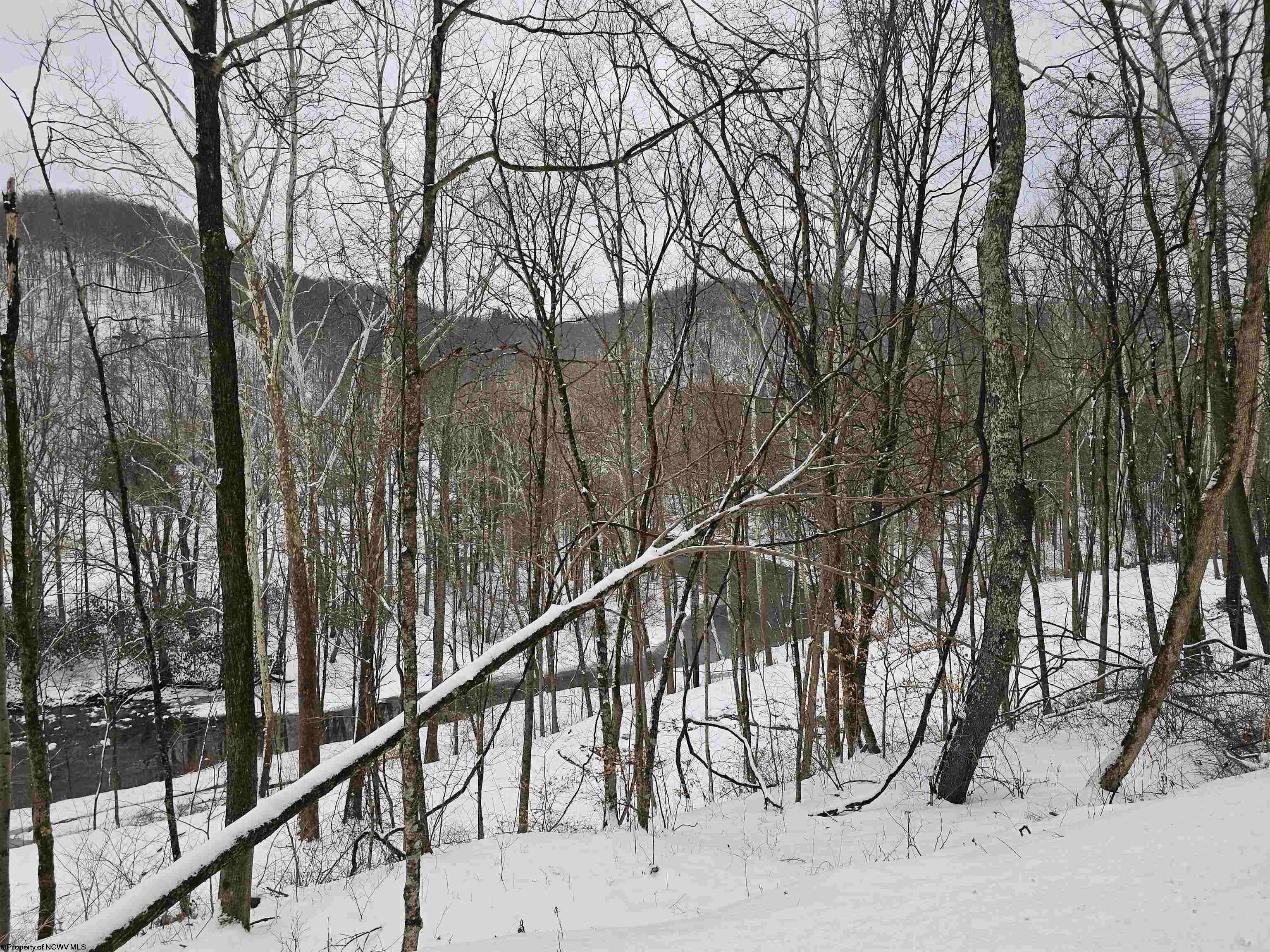 Tbd Irontown Road Independence, WV 26374 - Photo 9 of 30 Gallery Image 9
