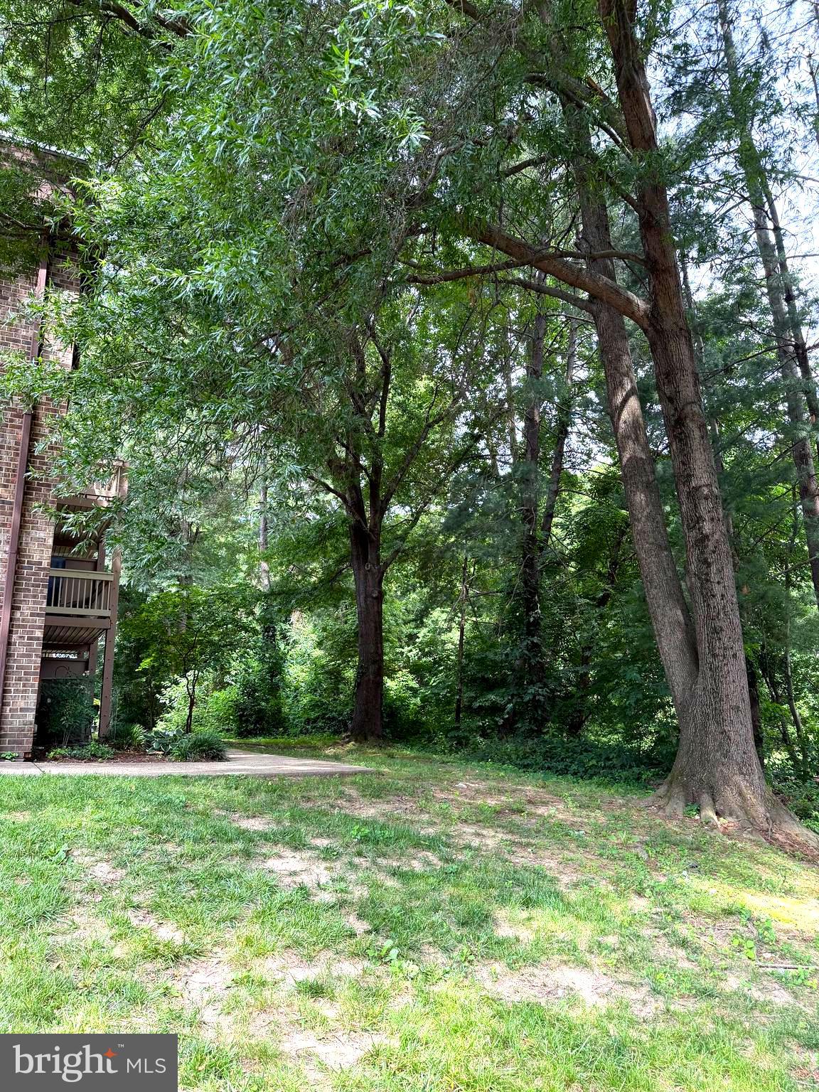 5816 Royal Ridge Drive Springfield, VA 22152 - Photo 4 of 4