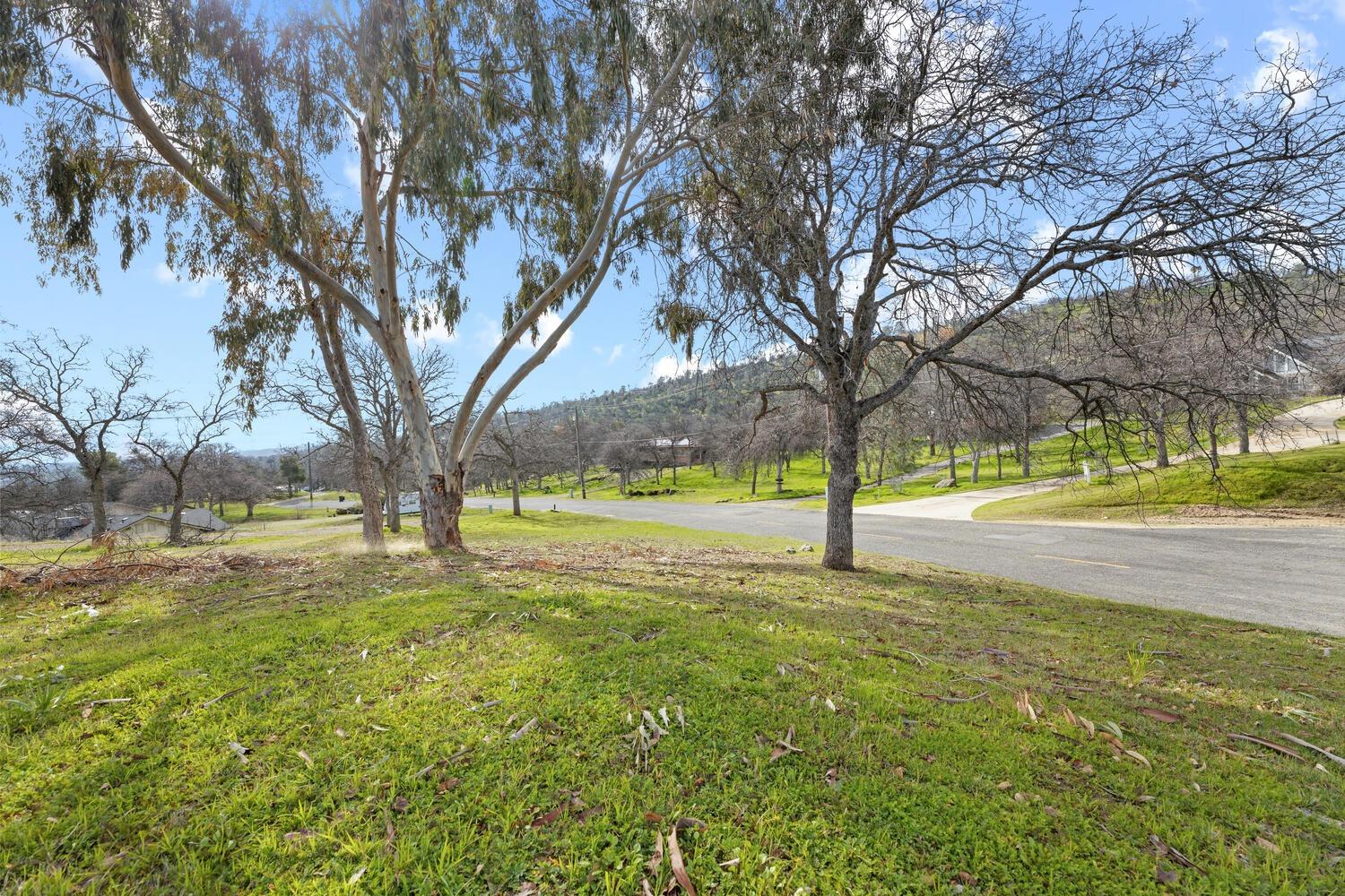 41763 Horseshoe Way Coarsegold, CA 93614 - Photo 24 of 45