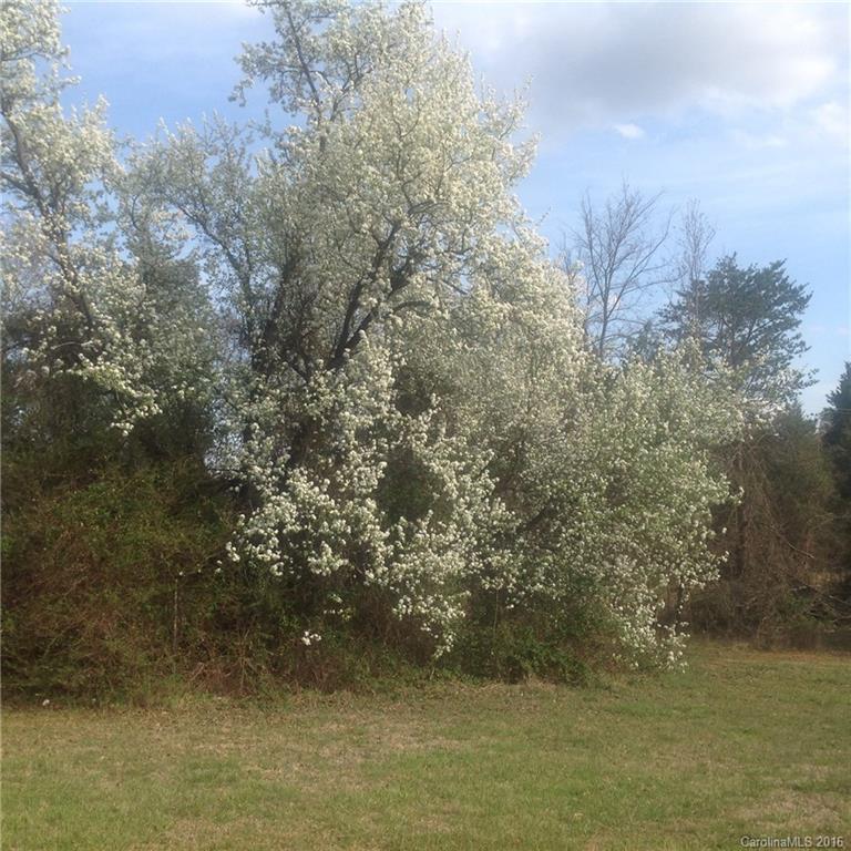 4875 Foster Road Cleveland, NC 27013 - Photo 14 of 15