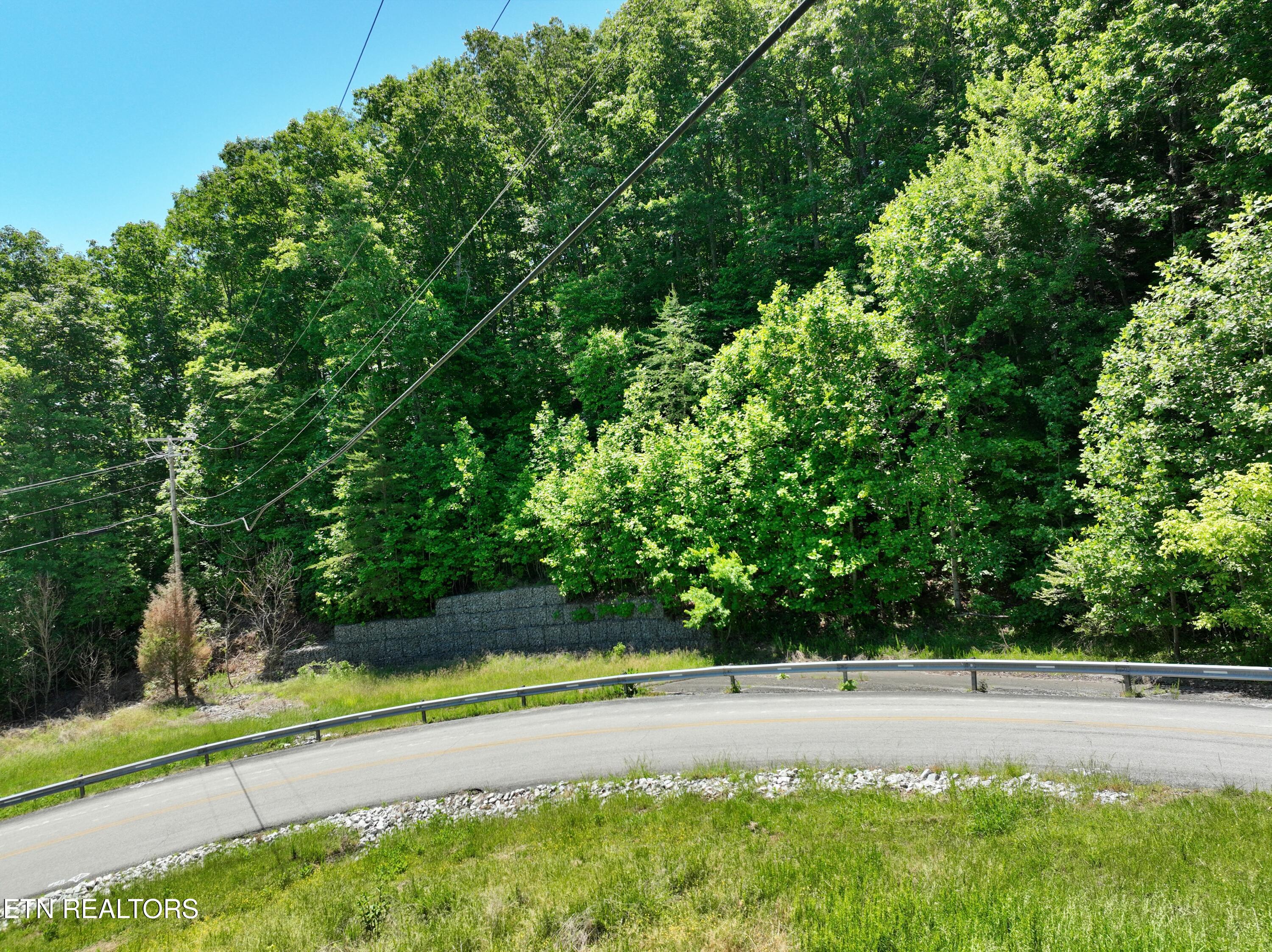 0 Flint Ridge Road Rockwood, TN 37854 - Photo 28 of 37 DJI_0611