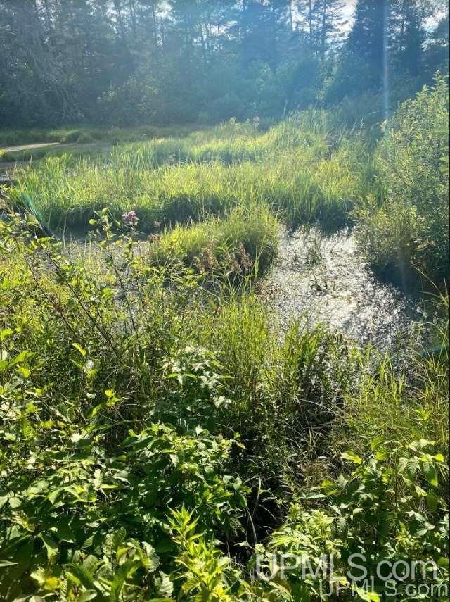 Tbd Off Tichelaar Road Foster City, MI 49834 - Photo 13 of 19