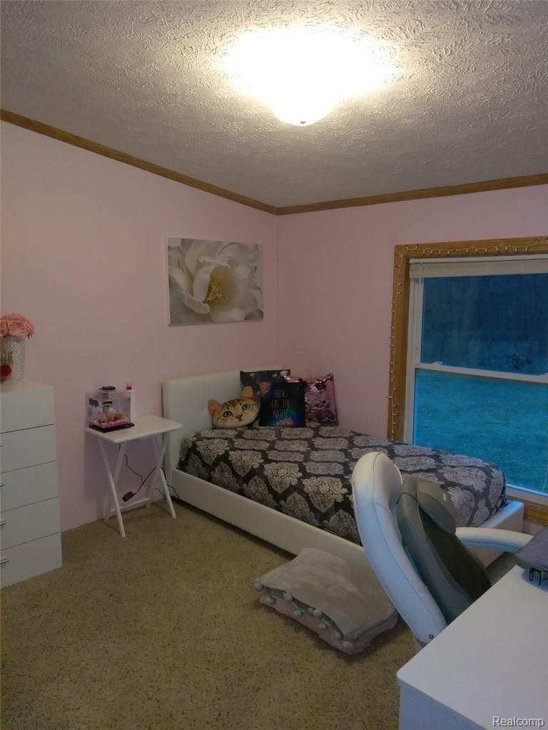 2635 Tozer Road North Branch, MI 48461 - Photo 19 of 23 18.jpg