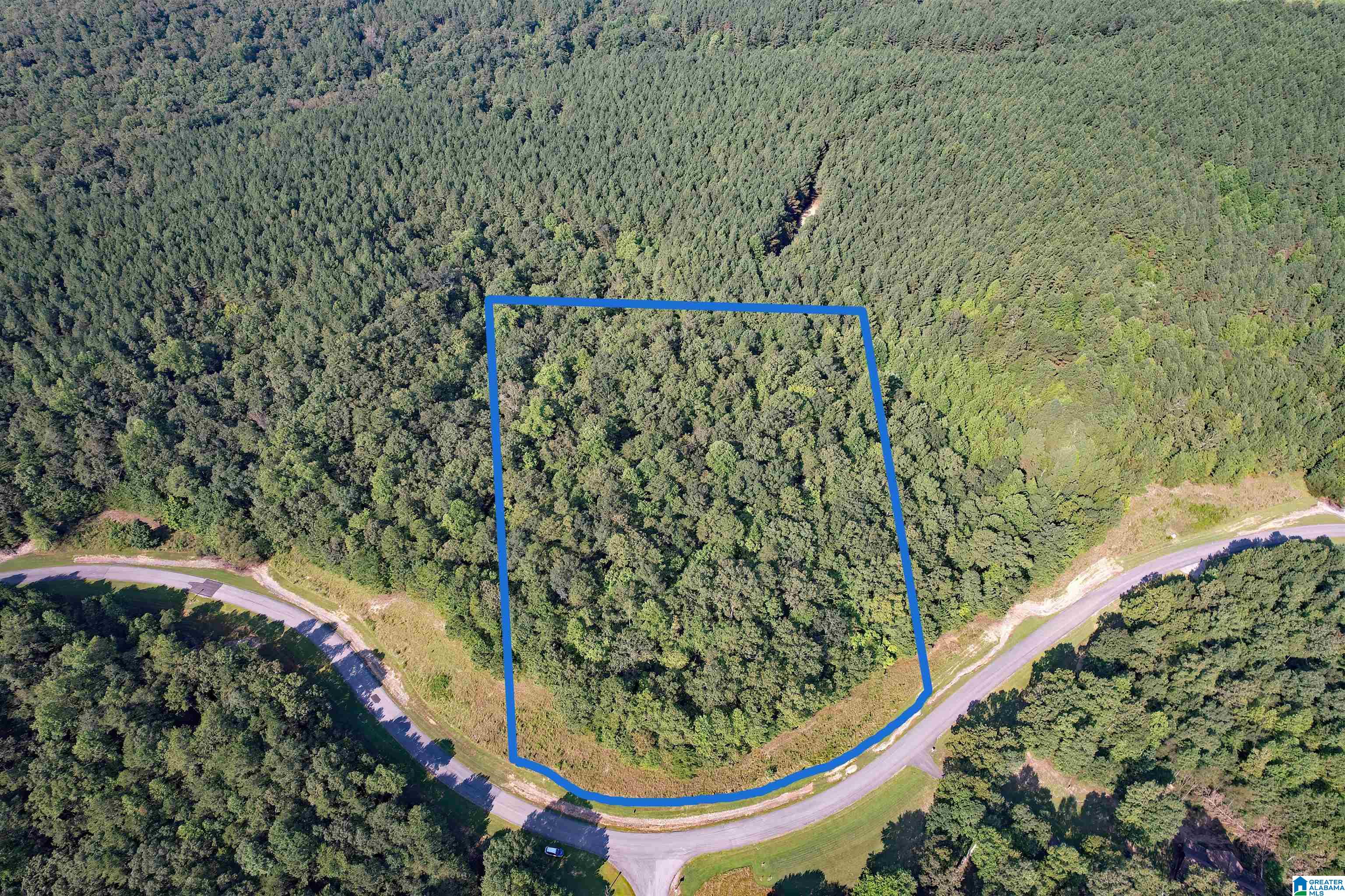 221 Stoney Point Road South, Unit 221/122 Double Springs, AL 35553 - Photo 20 of 25