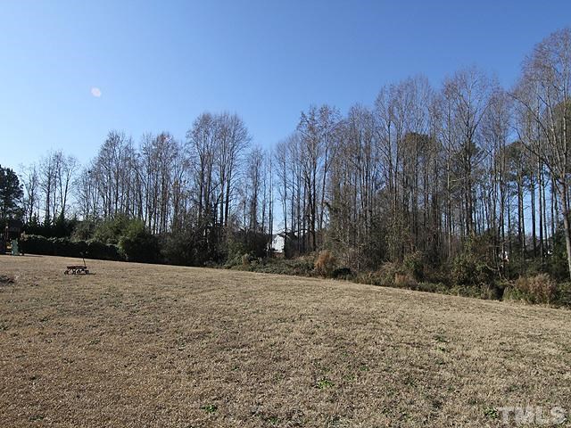 282 Saddle Ridge Drive Willow Spring, NC 27592 - Photo 23 of 23 a view of a field with trees in the background