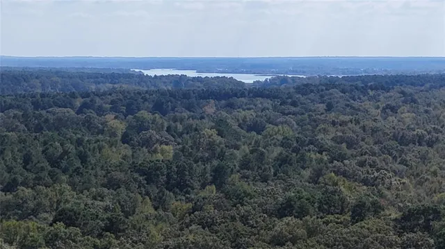a view of city and mountain