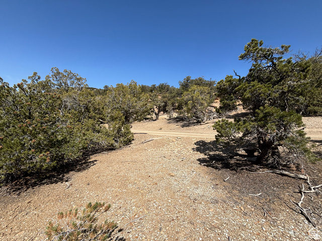 8911 Sams Wash Road, Unit 2627 Duchesne, UT 84021 - Photo 8 of 12 View of nature