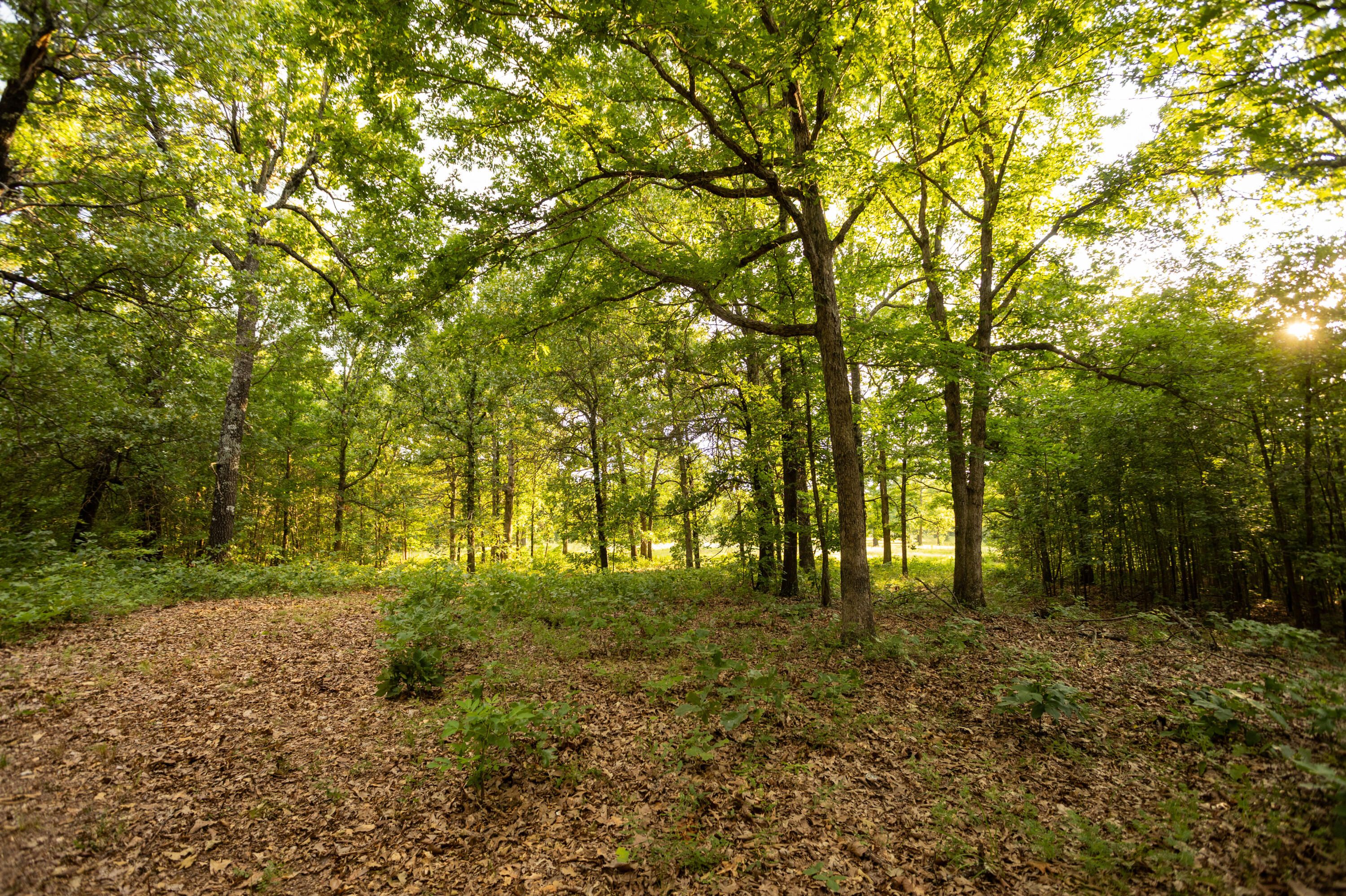 11995 Harvest Road Lebanon, MO 65536 - Photo 73 of 84 59