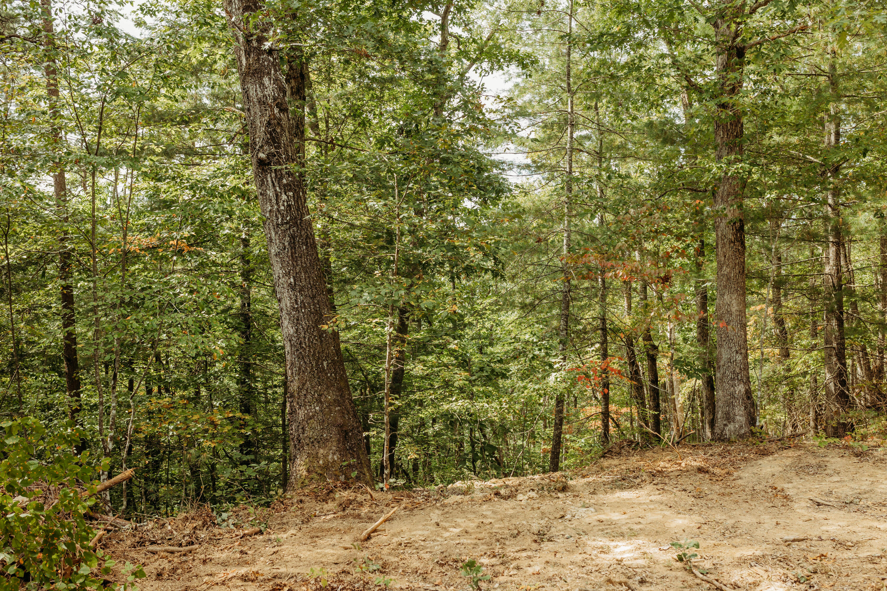 Tbd Lot 19 Tbd Road Campton, KY 41301 - Photo 4 of 19 FO7A1024