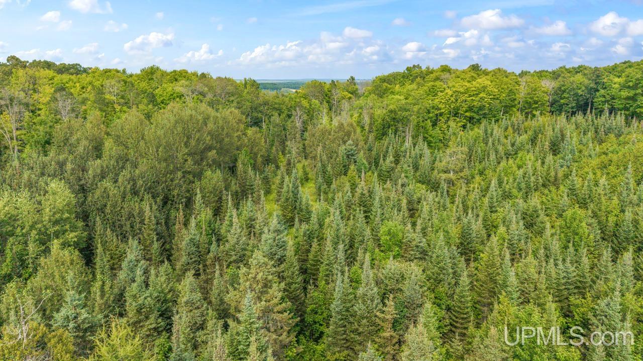 Tbd Tbd Bartels Road Felch, MI 49831 - Photo 11 of 16 Gallery Image 11