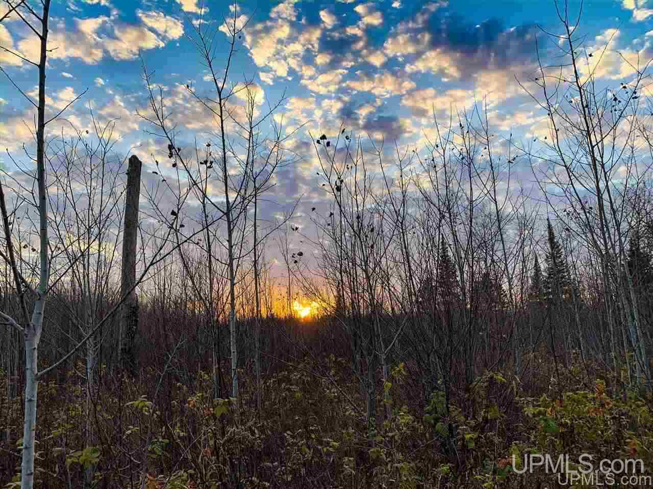 30662 Co Road Cornell, MI 49818 - Photo 41 of 42