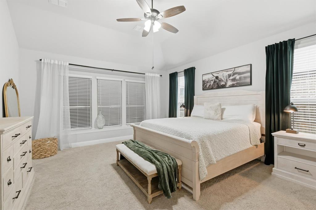 924 Timber Ridge Drive Justin, TX 76247 - Photo 18 of 32 Spacious bedroom featuring vaulted ceilings, a ceiling fan, plush carpet flooring, and abundant natural light from multiple windows