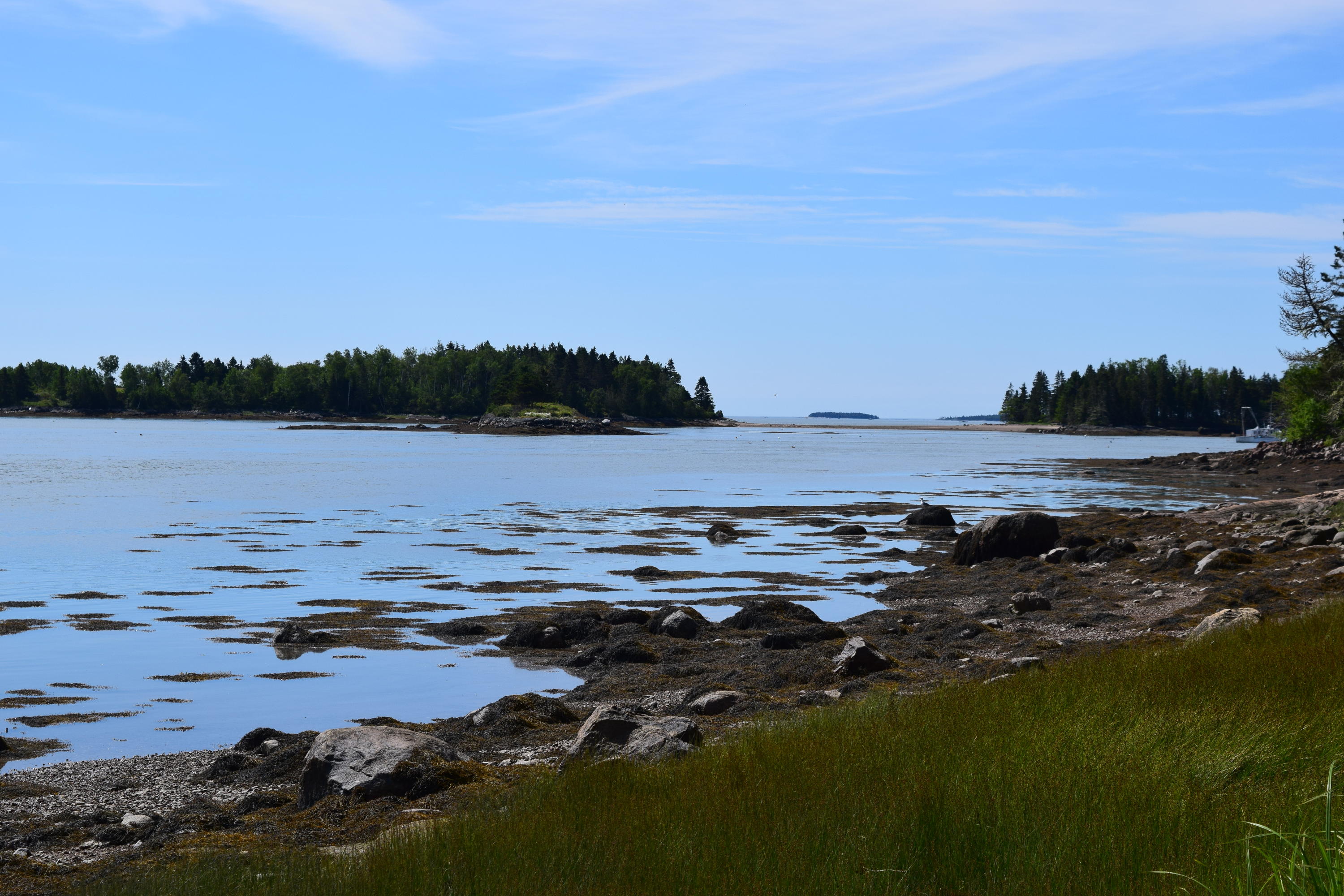 343 Gouldsboro Point Road Gouldsboro, ME 04607 - Photo 1 of 20 DSC_0012