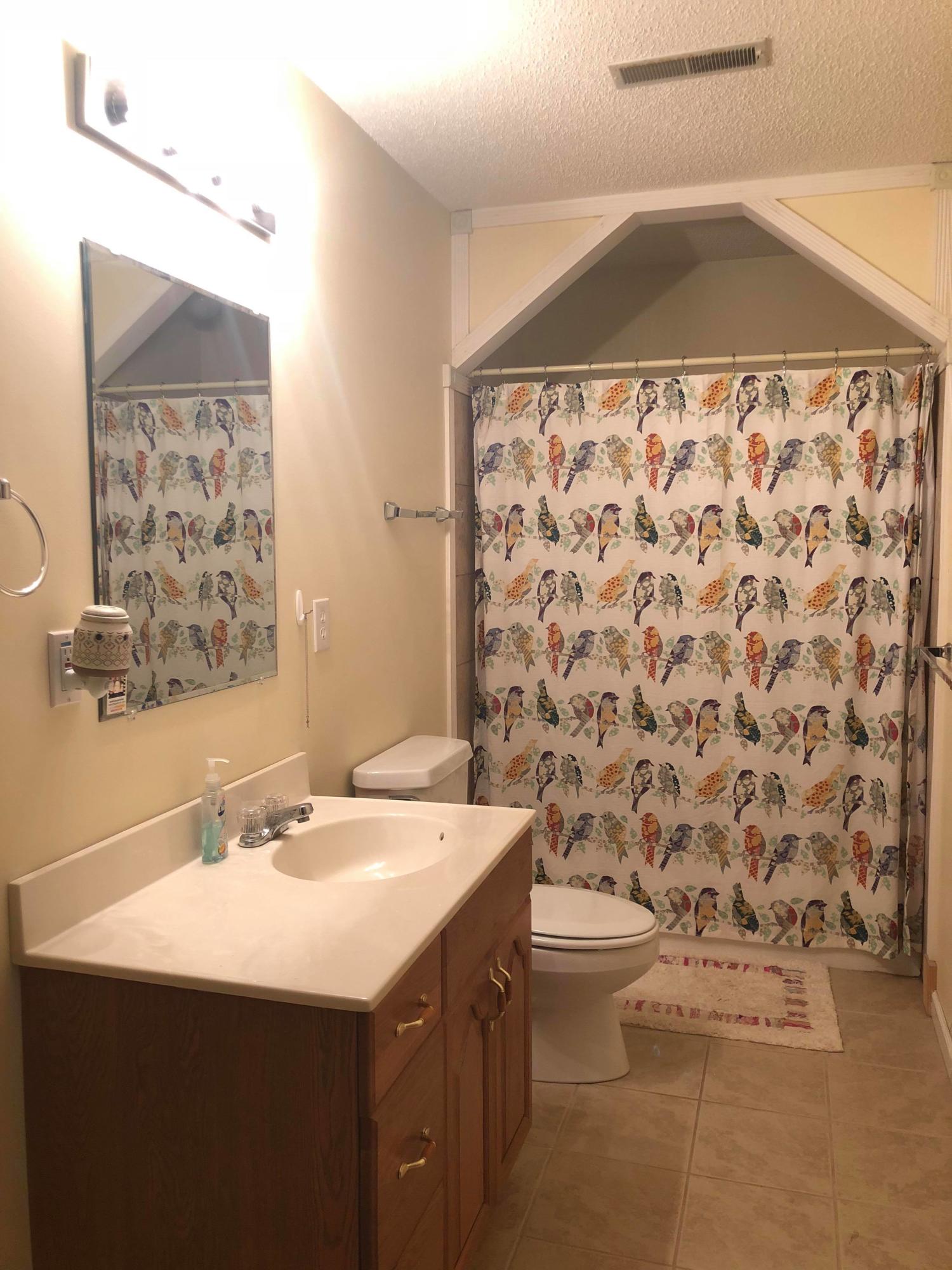 521 Emory River Road Harriman, TN 37748 - Photo 27 of 39 2nd guest bathroom