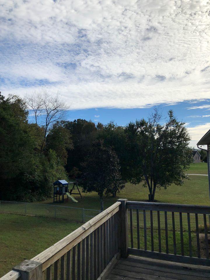521 Emory River Road Harriman, TN 37748 - Photo 35 of 39 backyard