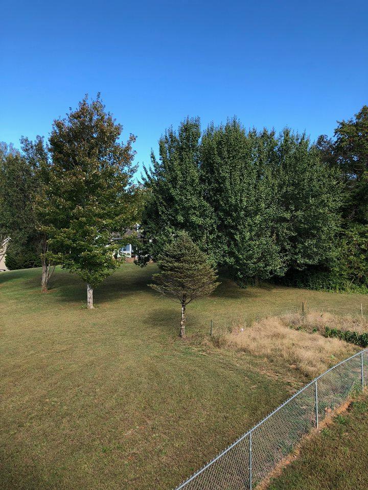 521 Emory River Road Harriman, TN 37748 - Photo 37 of 39 backyard/garden spot
