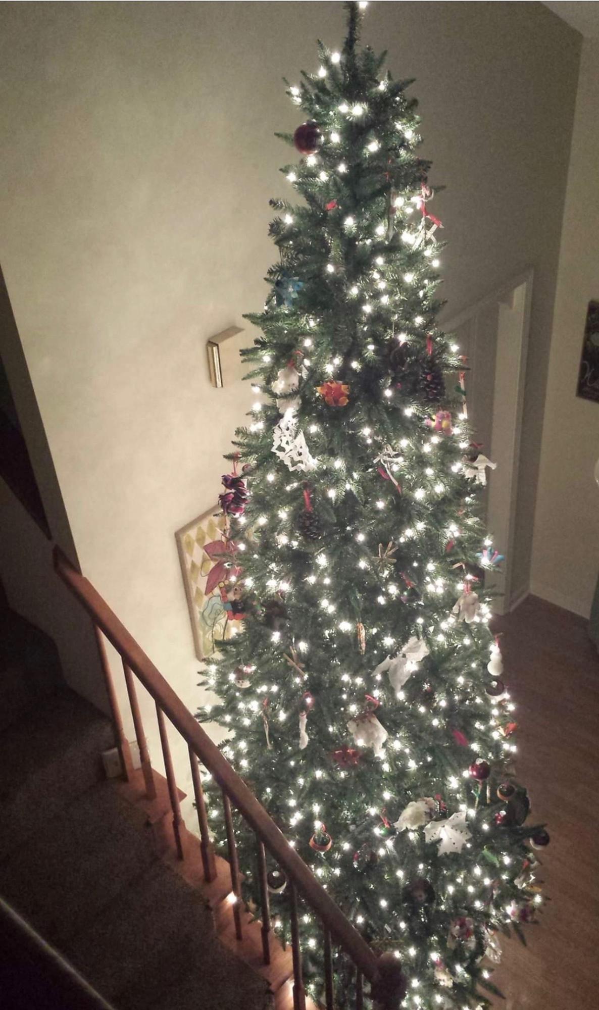 521 Emory River Road Harriman, TN 37748 - Photo 38 of 39 Just in time for the Holidays!