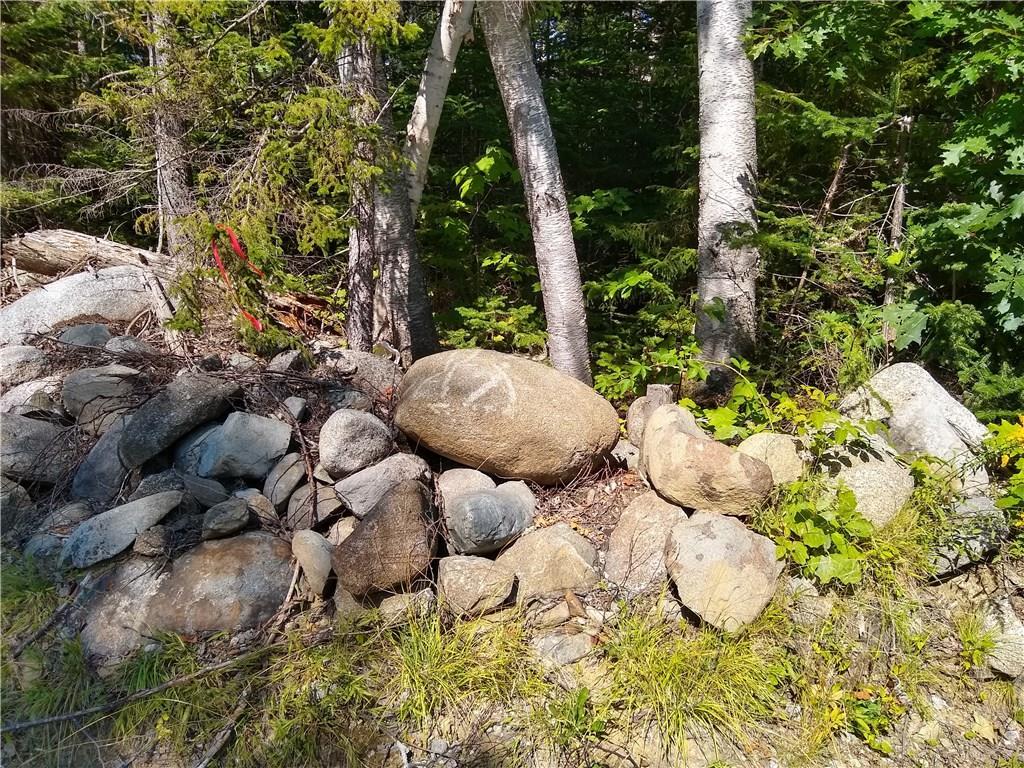 Tbd Tbd Soule Road Phillips, ME 04966 - Photo 17 of 26 Stonewall edges one line out through...