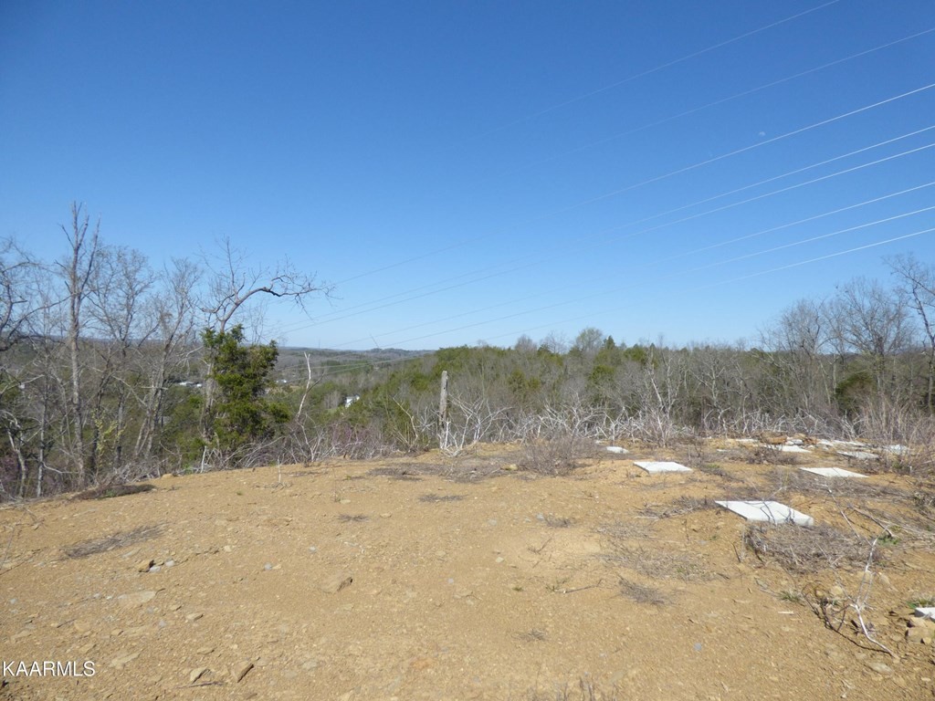 0 Parton Hollow Road Sevierville, TN 37876 - Photo 4 of 7
