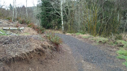 Vl East Beaver Creek Road Beaver, OR 97112 - Photo 5 of 5 IMG_20160308_143725366