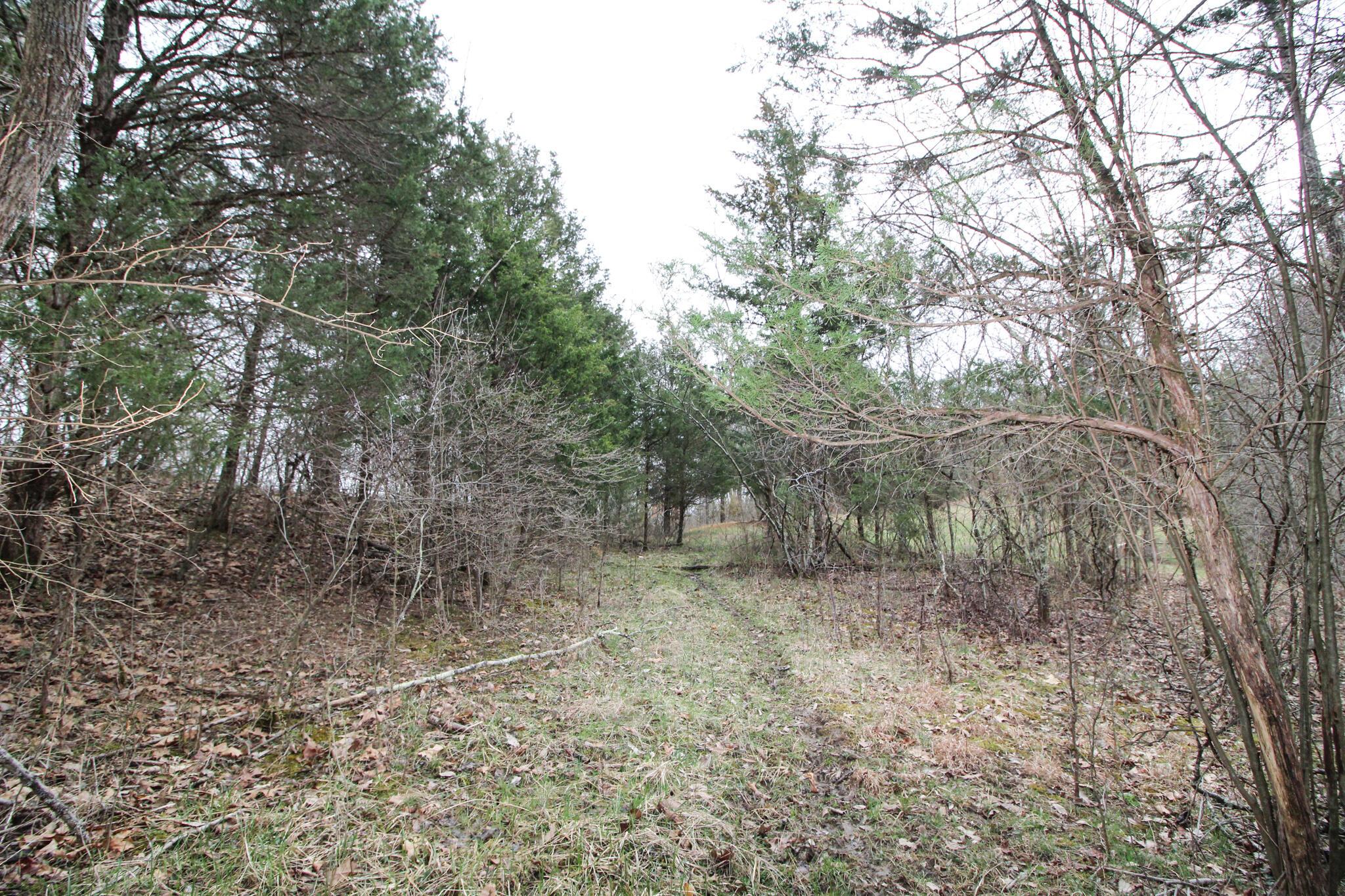 14630 Robinson Road Amesville, OH 45711 - Photo 26 of 39 IMG_4001