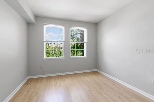 a view of a plant from a window