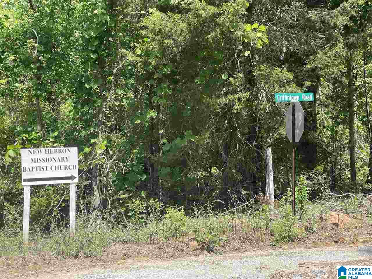 Griffintown Road West Blocton, AL 35184 - Photo 9 of 12
