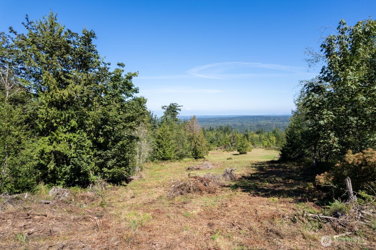 9999 Mt Pleasant Road Port Angeles, WA 98362 - Photo 14 of 27