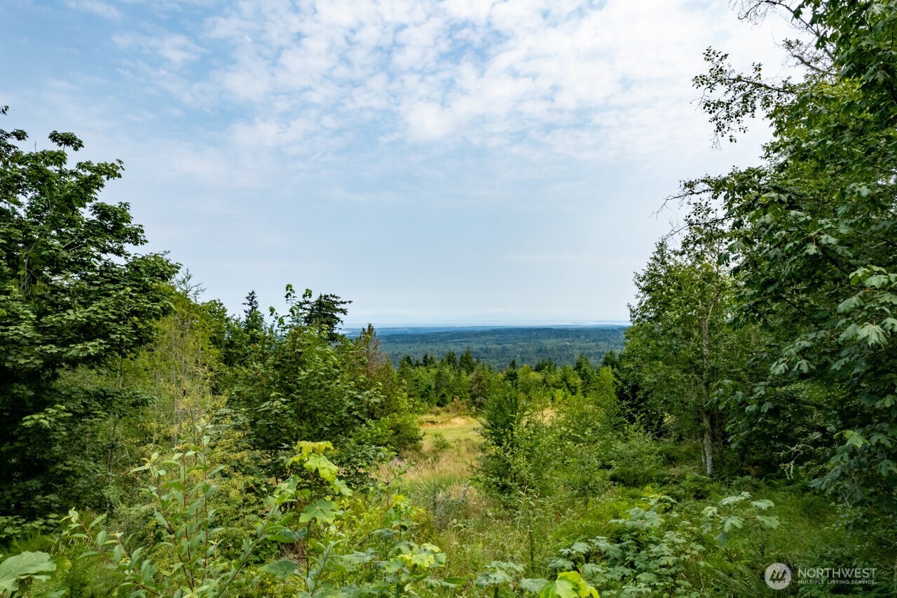 9999 Mt Pleasant Road Port Angeles, WA 98362 - Photo 15 of 27