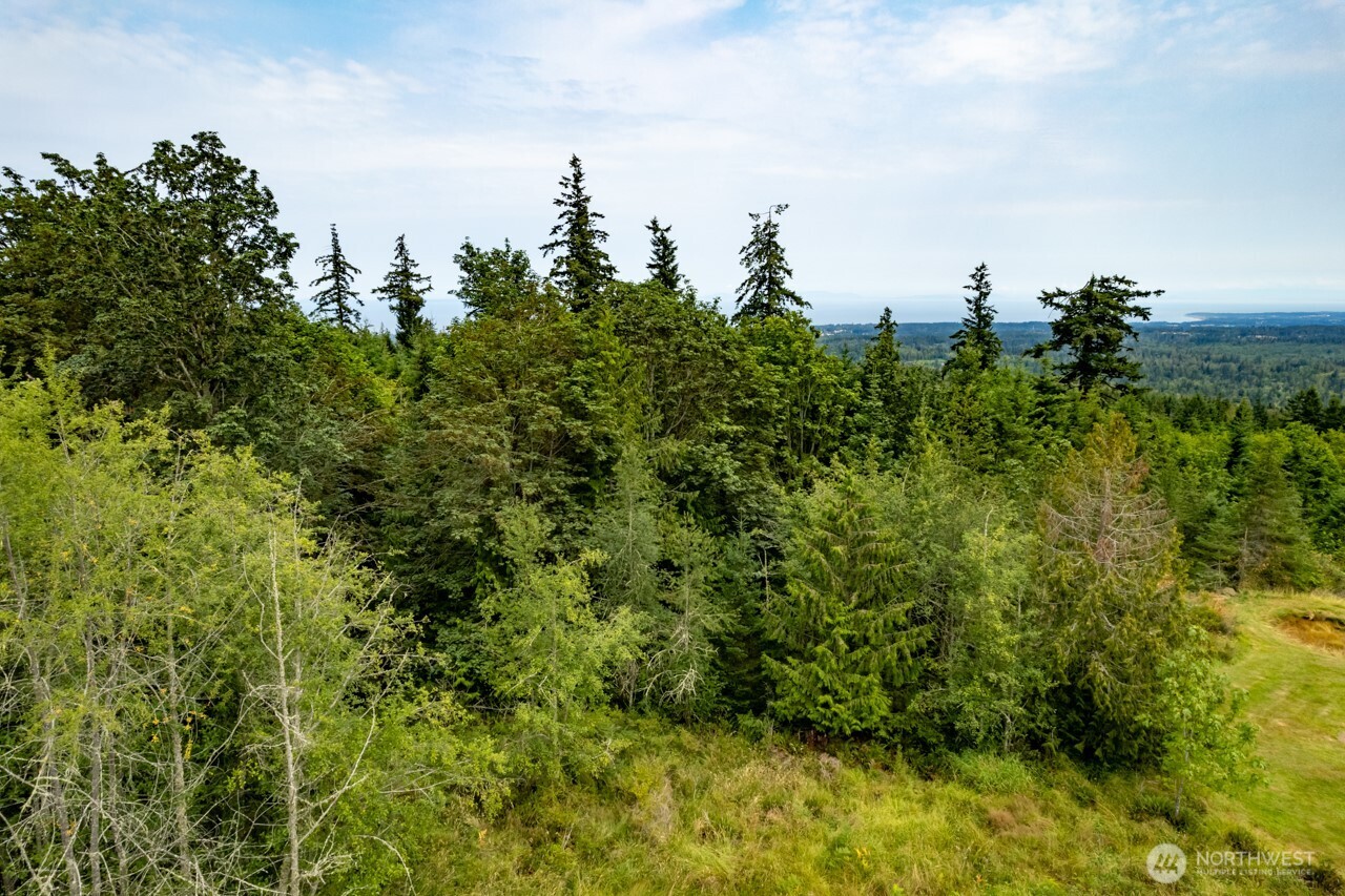 9999 Mt Pleasant Road Port Angeles, WA 98362 - Photo 18 of 27