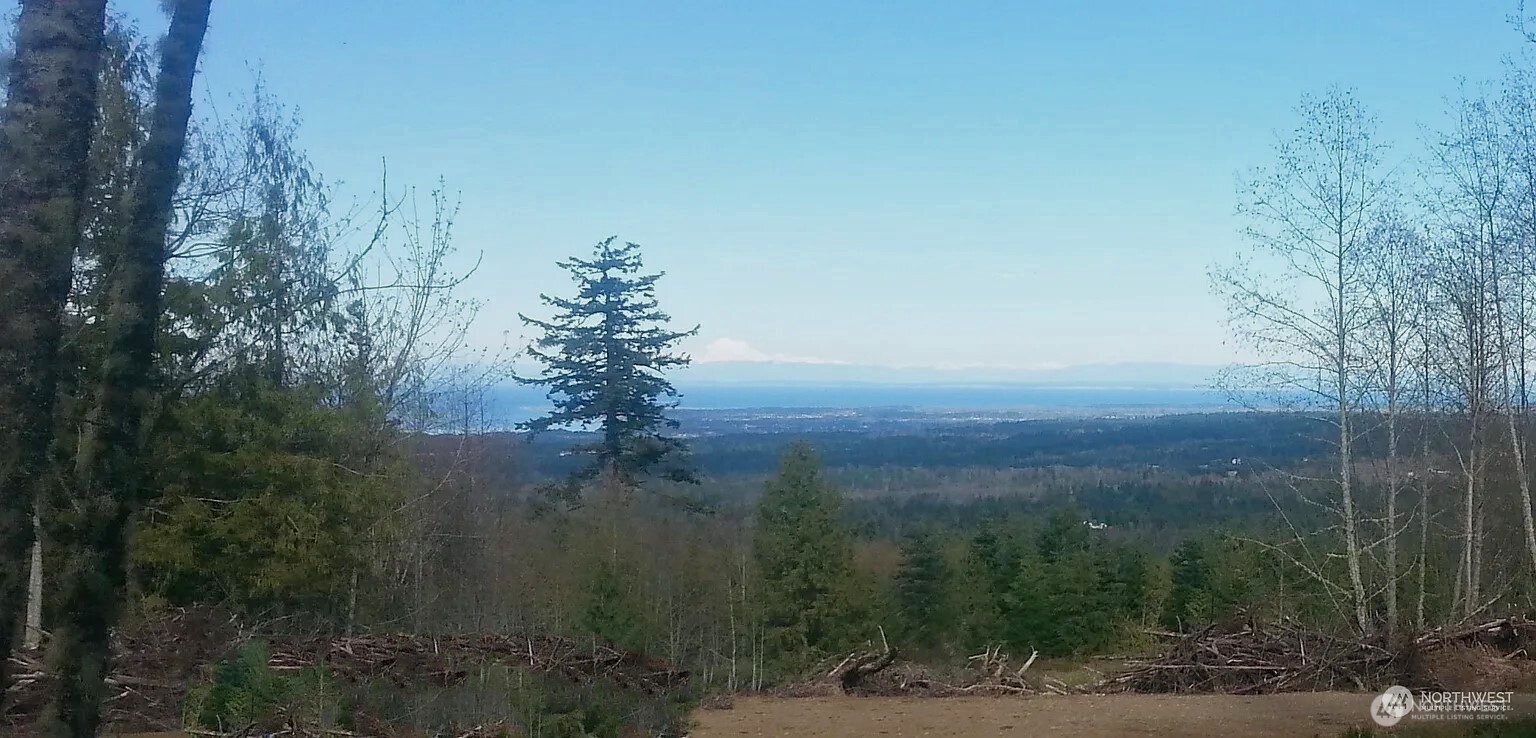 9999 Mt Pleasant Road Port Angeles, WA 98362 - Photo 2 of 27