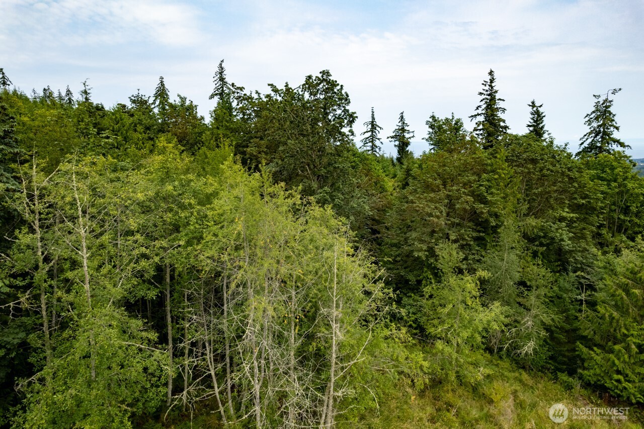 9999 Mt Pleasant Road Port Angeles, WA 98362 - Photo 21 of 27