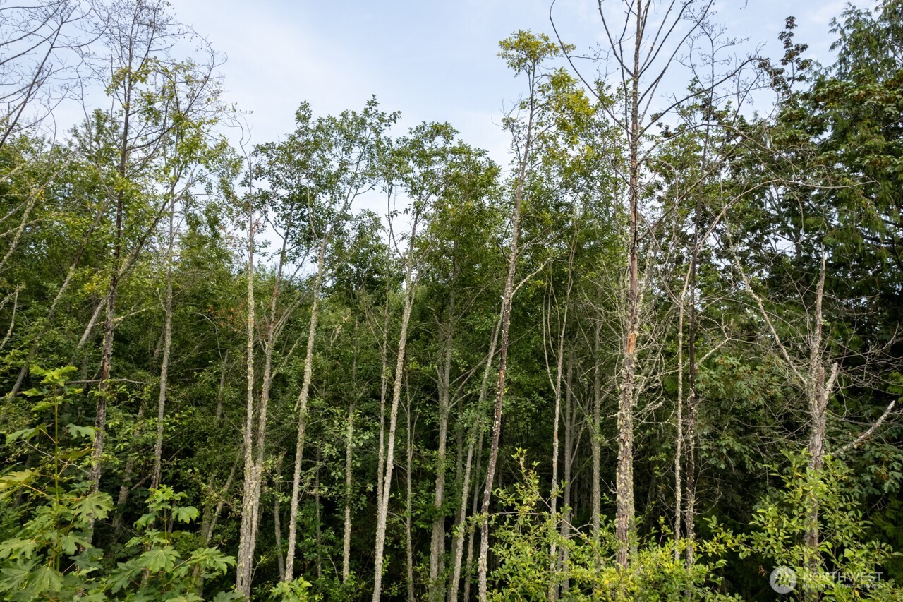 9999 Mt Pleasant Road Port Angeles, WA 98362 - Photo 22 of 27