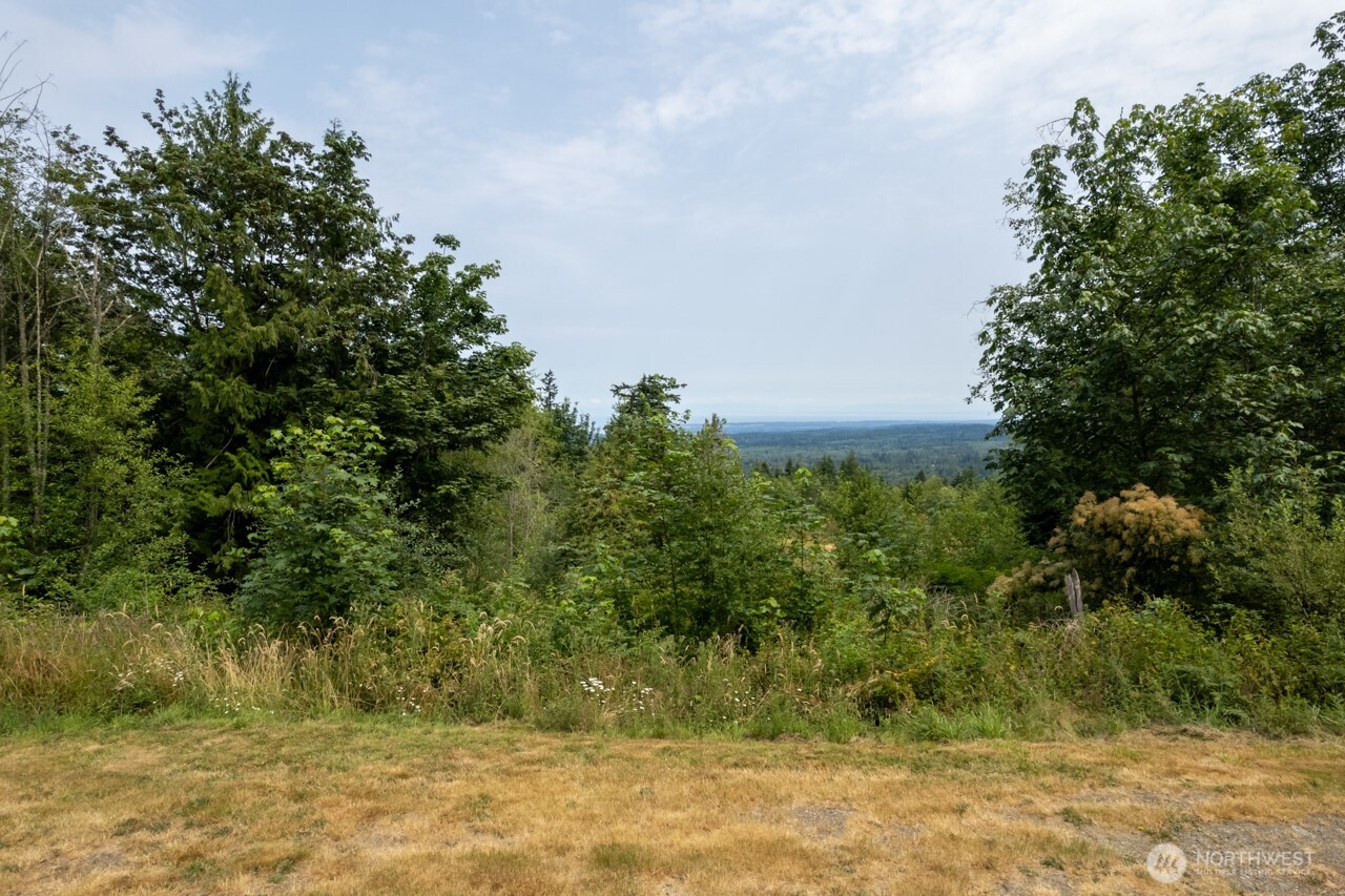 9999 Mt Pleasant Road Port Angeles, WA 98362 - Photo 23 of 27