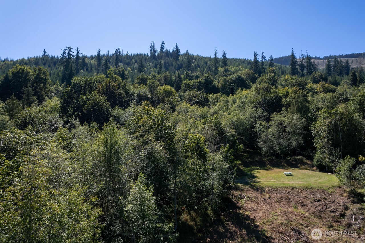 9999 Mt Pleasant Road Port Angeles, WA 98362 - Photo 26 of 27